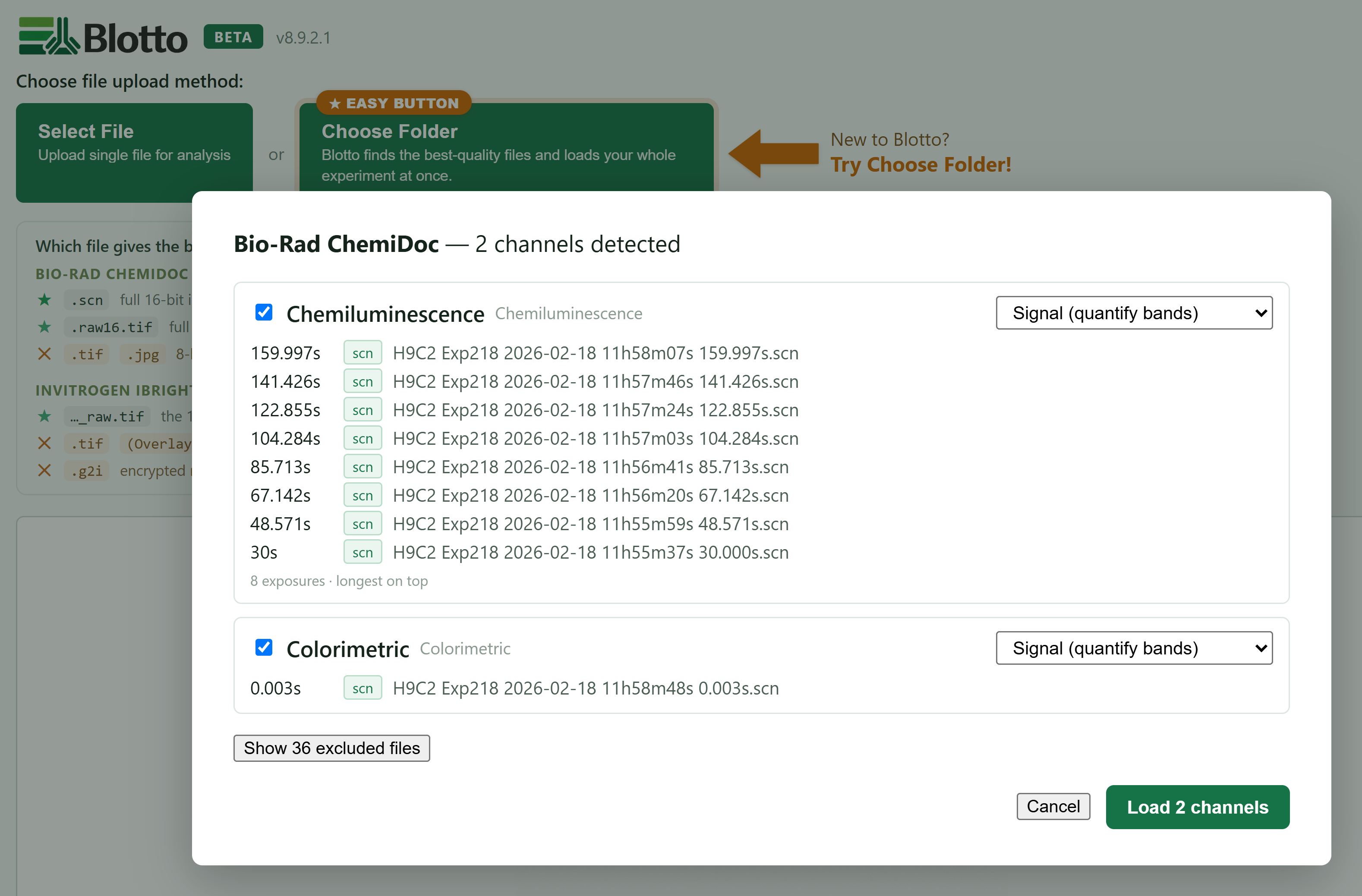 Blotto detecting two channels and their exposures from a Bio-Rad export folder