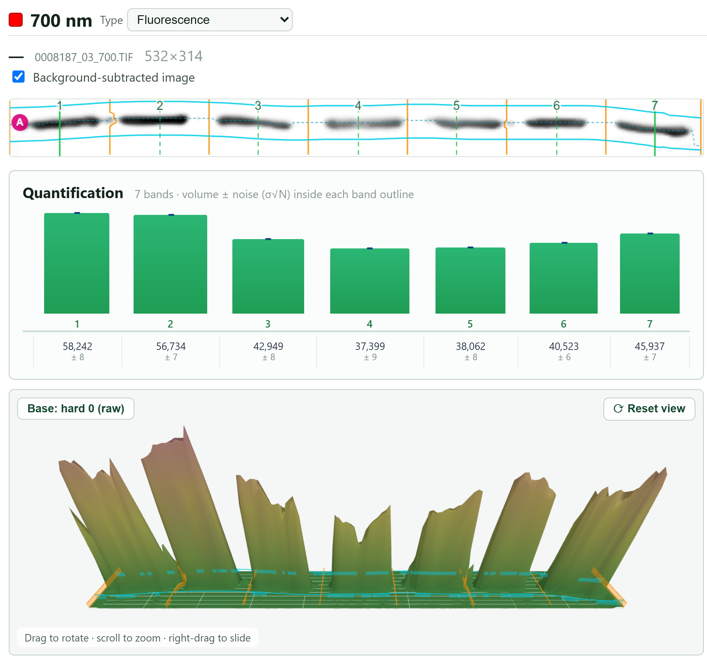 Blotto in action: the annotated blot, the quantification chart, and the 3-D signal terrain — all in one view